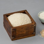 믿고먹는우리쌀 20kg - 이마트몰