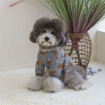 모집 견집 애견 반려 캣하우스 침대, 이마트몰, 당신과 가장 가까운 이마트 모집 견집 애견 반려 캣하우스 침대