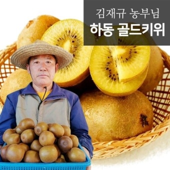 하동 맛있는 GAP 인증 골드키위 5kg (41-50개), 믿고 사는 즐거움 SSG.COM 하동 맛있는 GAP 인증 골드키위 5kg (41-50개)