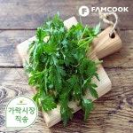가락시장직송 고수 1단(300-350g) - 이마트몰, 원하는 상품을 원하는 시간에 쓱, 이마트몰 가락시장직송 고수 1단(300-350g) - 이마트몰