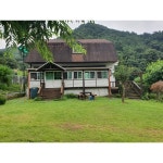 [원주시] 원주 치악산주련골펜션 - 이마트몰, 원하는 상품을 원하는 시간에 쓱, 이마트몰 [원주시] 원주 치악산주련골펜션 - 이마트몰