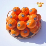 썬키스트 큐티스 고당도 만다린 2kg - 이마트몰