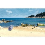 [고성군] 국화꽃향기애견동반펜션 - 이마트, 이마트몰, 당신과 가장 가까운 이마트 [고성군] 국화꽃향기애견동반펜션 - 이마트