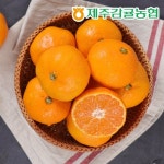 [제주바람] 제주농협 직송 제주 하우스감귤 2.5kg (L~2L/18~22과) - 이마트몰, 원하는 상품을 원하는 시간에 쓱, 이마트몰 [제주바람]... 
