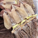 [경상북도](건조)[자연맛남] 영덕 당일바리 건 마른오징어 10미... (건조)[자연맛남] 영덕 당일바리 건 마른오징어 10미 400g내외 - 이마트몰