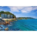 [강릉시] 강릉 오션그레이트펜션 - 이마트몰, 원하는 상품을 원하는 시간에 쓱, 이마트몰 [강릉시] 강릉 오션그레이트펜션 - 이마트몰