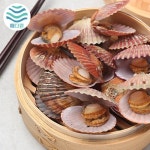 [해다원]통영 산지직송 홍가리비 2kg - 이마트몰, 원하는 상품을 원하는 시간에 쓱, 이마트몰 [해다원]통영 산지직송 홍가리비 2kg - 이마트몰