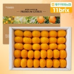 [제주위미농협] 당도선별 11brix 신선한 하우스감귤 3kg - 이마트몰