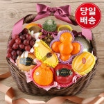 행복촌과일꽃게 | [수도권 퀵배송][과일선물세트] 행복한 과일바구니(수도권 당일/전국 익일)(토,일 휴무) - 이마트몰
