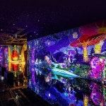 [고양] 원더래빗 입장권(11/1~12/31) - 이마트몰, 당신과 가장 가까운 이마트 [고양] 원더래빗 입장권(11/1~12/31)