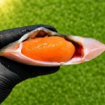 반건조 알가자미 3미 500g 내외 - 이마트몰