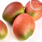 열대과일의 여왕 페루 애플망고 4kg(9수) - 이마트몰, 원하는 상품을... 시간에 쓱, 이마트몰 열대과일의 여왕 페루 애플망고 4kg(9수) - 이마트몰