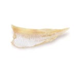 제이제이푸드(JJ FOOD) Corp. | 해맑은푸드 반건조 대구포 450g - 이마트몰, 원하는 상품을 원하는 시간에 쓱, 이마트몰 해맑은푸드 반건조 대구포 450g - 이마트몰
