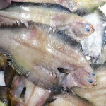 [착한어부] 간이 되어있는 국내산 손질 가자미 500g / 6-7미내외... 이마트 [착한어부] 간이 되어있는 국내산 손질 가자미 500g / 6-7미내외... 