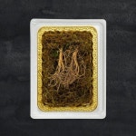 [자연삼가] 정품 프리미엄 산양삼 7-9년근/2뿌리 - 이마트몰, 원하는 상품을 원하는 시간에 쓱, 이마트몰 [자연삼가] 정품 프리미엄 산양삼 7... 