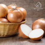 [웰굿] 국내산 신선한 속이 꽉 찬 양파 4kg(특) - 이마트몰, 원하는 상품을 원하는 시간에 쓱, 이마트몰 [웰굿] 국내산 신선한  속이 꽉 찬 양파... 