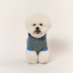 [PET] 캐시미어 후디 풀오버 그레이 - 이마트몰, 당신과 가장 가까운 이마트 [PET] 캐시미어 후디 풀오버 그레이