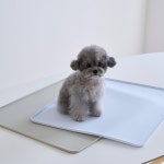 [생활공작소] 펫 논슬립 안심배변매트 (베이지/스카이그레이), 이마트몰... 이마트 [생활공작소] 펫 논슬립 안심배변매트 (베이지/스카이그레이)