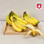 고당도 바나나 13kg (6-9수) 대용량 벌크 - 이마트몰, 원하는 상품을... 시간에 쓱, 이마트몰 고당도 바나나 13kg (6-9수) 대용량 벌크 - 이마트몰