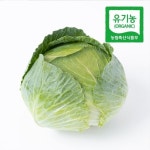 초록초록팜 유기농 제주 월동 양배추 1kg 1-2통 친환경 제철 야채 PS - 이마트몰