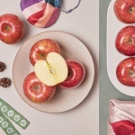 [바로배송]대경사과원예농협 당도선별 안동사과 선물 세트 3.7kg (12입) - 이마트몰