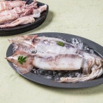 고래잇 이마트 수산 행사 ~50% - 이마트몰