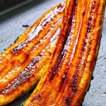 양산도 국내산 자포니카 풍천 민물장어 1kg (손질 후 650g)소스 초생강... 자포니카 풍천 민물장어 1kg (손질 후 650g)소스 초생강 포함 - 이마트몰