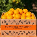 제주 타이벡 감귤 4.5kg(소과/2S) - 이마트몰