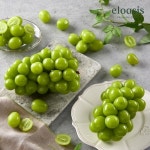 수출용 프리미엄 샤인머스켓, 1.5kg (2~3송이) - 이마트, 이마트몰... 가장 가까운 이마트 수출용 프리미엄 샤인머스켓, 1.5kg (2~3송이) - 이마트