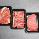 [바로배송][냉장][한성가횡성한우]정품 횡성한우 투뿔등급 명작세트 7호 600g(등심 200g,갈비살 200g,불고기용 200g) - 이마트몰