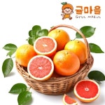 귤마을 프리미엄 레드자몽 소과 15과 개당 280g내외 - 이마트몰, 원하는 상품을 원하는 시간에 쓱, 이마트몰 귤마을 프리미엄 레드자몽 소과... 