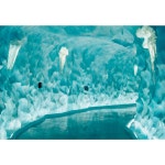 쓱, 이마트몰 푸꾸옥 자유여행 3박 5일 뉴월드 리조트 2/3베드풀빌라 4명부터 18시 레이트체크아웃 발마사지 공항픽업 AVB255C6DAB6E02... 