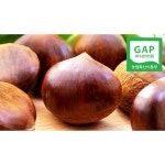 [GAP인증] 산지직송 충남 공주 정안 옥광밤 2kg(대) - 이마트몰