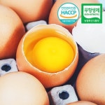 [HACCP] 농장직송 웰굿 신선한 계란 20구(1판,특란) - 이마트몰, 원하는 상품을 원하는 시간에 쓱, 이마트몰 [HACCP] 농장직송 웰굿 신선한... 