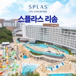 [덕산] 리솜 스플라스 워터파크 이용권 (7.19~8.24) - 이마트몰, 원하는 상품을 원하는 시간에 쓱, 이마트몰 [덕산] 리솜 스플라스 워터파크...