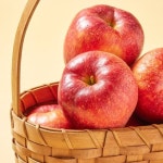 대경사과원예농협에서 엄선한 사과 - 이마트몰