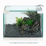 그로비타 스타터세트 M 어항 수족관용품 초보자세트 - 이마트몰, 원하는 상품을 원하는 시간에 쓱, 이마트몰 그로비타 스타터세트 M 어항... 