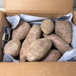 24년 해남 베니하루카 비세척 꿀고구마 5kg (특대) - 이마트몰, 원하는 상품을 원하는 시간에 쓱, 이마트몰 24년 해남 베니하루카 비세척... 