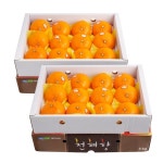 [농협공판장] 당도선별 정성드린 제주 천혜향세트 3kg(13과내)x2박스... [농협공판장] 당도선별 정성드린 제주 천혜향세트 3kg(13과내)x2박스...