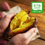 [유기농] 24년수확 해남 황토 밤고구마 3kg(한입) - 이마트몰, 원하는 상품을 원하는 시간에 쓱, 이마트몰 [유기농] 24년수확 해남 황토... 