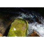 [남양주시] 남양주 베니베럼 펜션 - 이마트몰, 원하는 상품을 원하는 시간에 쓱, 이마트몰 [남양주시] 남양주 베니베럼 펜션 - 이마트몰