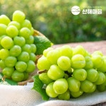 [산해마을] 샤인머스캣 개별포장 2수 1.2kg, 이마트몰, 당신과 가장 가까운 이마트 [산해마을] 샤인머스캣 개별포장 2수 1.2kg
