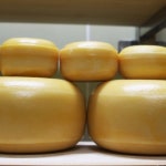 효덕목장 고다 형 치즈 하우다 100g 2ea - 이마트몰, 원하는 상품을... 시간에 쓱, 이마트몰 효덕목장 고다 형 치즈 하우다 100g 2ea - 이마트몰