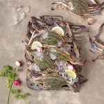 [8/27(수) 배송][냉장][국산] 가을제철 서해 햇꽃게 (3kg, 얼음포장) - 이마트몰, 원하는 상품을 원하는 시간에 쓱, 이마트몰 [8/27(수) 배송]... 