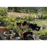 [양양군] 양양 동뜰정원 - 이마트몰, 원하는 상품을 원하는 시간에 쓱, 이마트몰 [양양군] 양양 동뜰정원 - 이마트몰