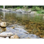 [양양군] 양양 동뜰정원 - 이마트몰, 원하는 상품을 원하는 시간에 쓱, 이마트몰 [양양군] 양양 동뜰정원 - 이마트몰