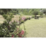 [양양군] 양양 동뜰정원 - 이마트몰, 원하는 상품을 원하는 시간에 쓱, 이마트몰 [양양군] 양양 동뜰정원 - 이마트몰