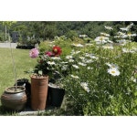 [양양군] 양양 동뜰정원 - 이마트몰, 원하는 상품을 원하는 시간에 쓱, 이마트몰 [양양군] 양양 동뜰정원 - 이마트몰