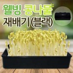 집에서 콩나물키우기 콩나물시루 무순 새싹보리 키우기 수경재배기 새싹 재배기 미니텃밭 - SSG.COM