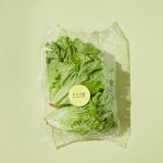 친환경 유럽채소 - 바타비아 150g/봉 - 이마트몰